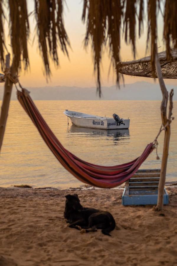 Elbadawy Camp Hotel Nuweiba‘ el Muzeinah Exterior foto